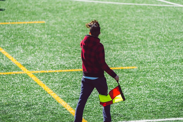 力求在保证 力求在保证