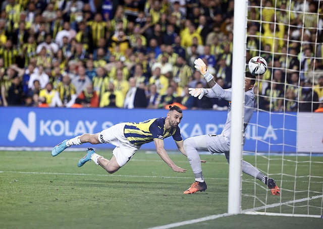 湖人和开拓 湖人和开拓