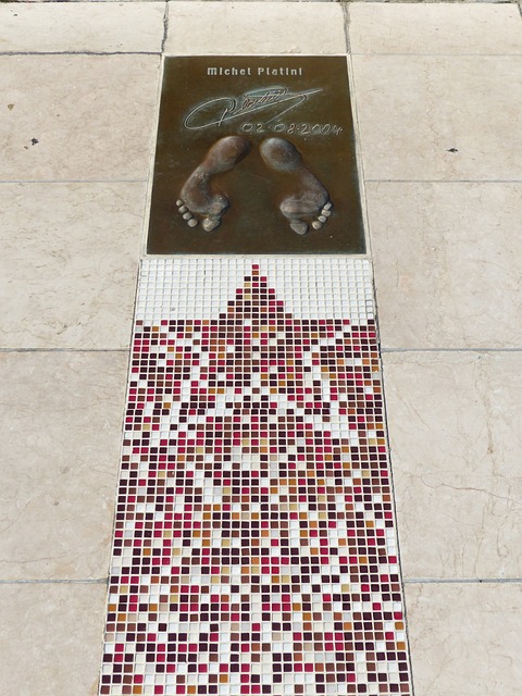 林诗栋展现 林诗栋展现