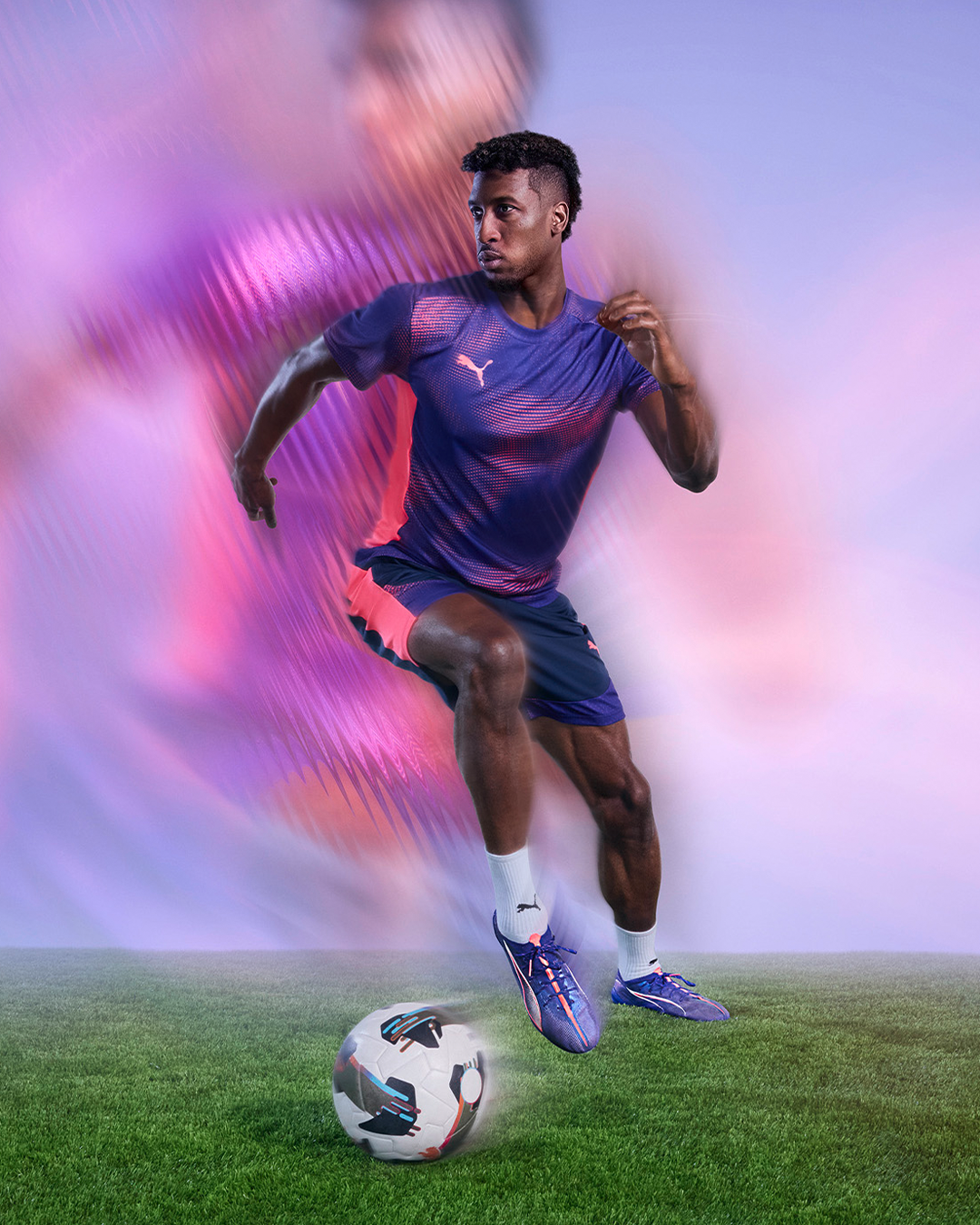 与法网密不 与法网密不